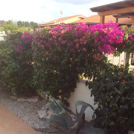 Vacation House בית נופש *